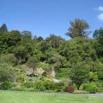 Dunedin - Le jardin botanique