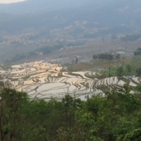 Pugao vue sur les rizières