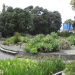 Napier - Un parc