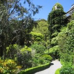 Wellington et son jardin botanique
