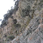 Bruny Island - falaise 200m haut