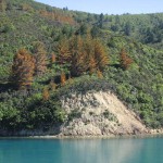 Paysage à bord du ferry