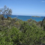 Freycinet - Vue sur Promise Bay