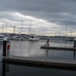 Hobart, le port