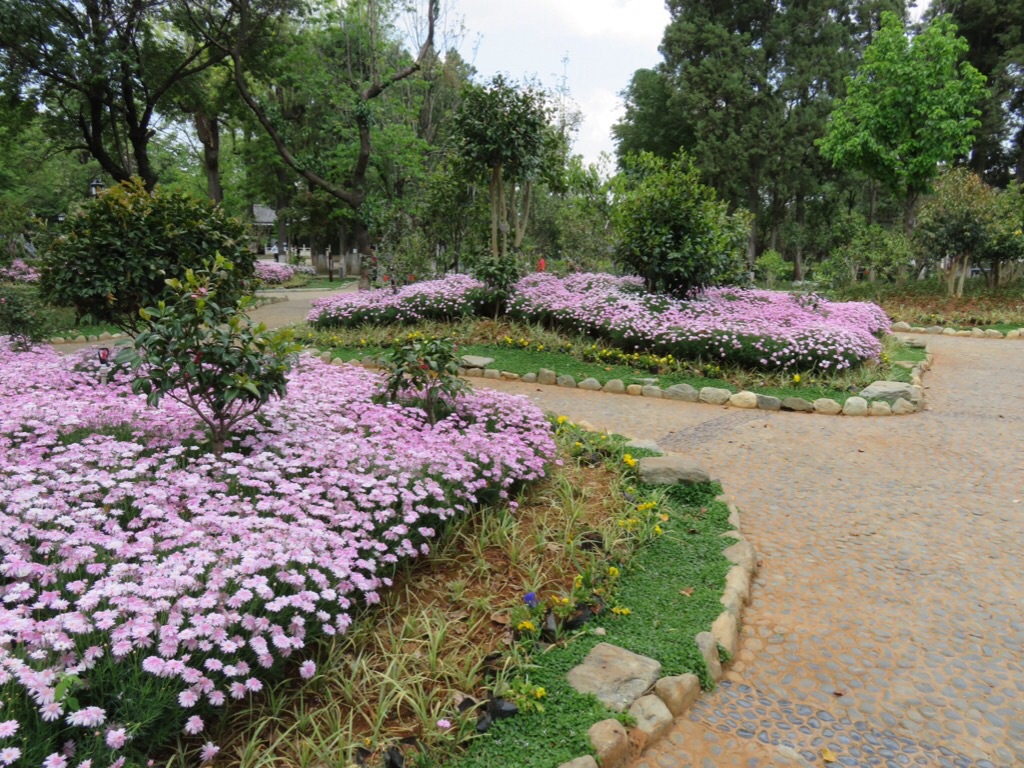 Parc, des fleurs