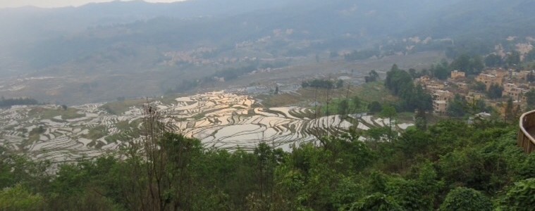 Pugao vue sur les rizières