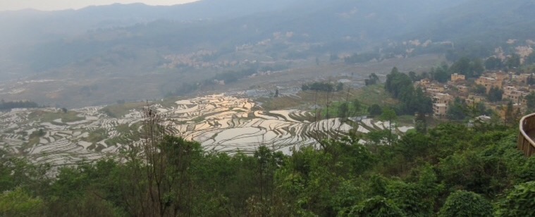 Pugao vue sur les rizières