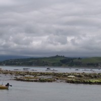 Kaikoura et ses bateaux