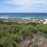 kangaroo Island - Bush