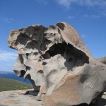kangaroo Island - Rocher du Remarkable