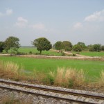 Vue du train sur les rizières