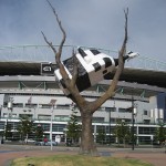 Melbourne - Une vache dans un arbre