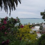 Napier - Vue sur la baie