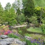 Oamaru et son jardin botanique