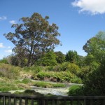 Rotorua - Parc Kuirau