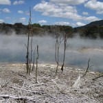 Rotorua - Parc kuirau