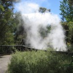 Rotorua - Parc Kuirau